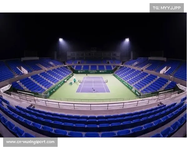 十五运会网球场馆升级后首秀，飞蛾事件应急处理获赞